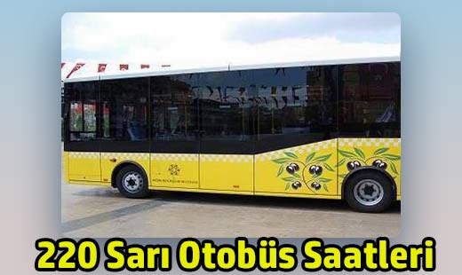 405 sari otobus saatleri aydin didim sari otobus ucretleri