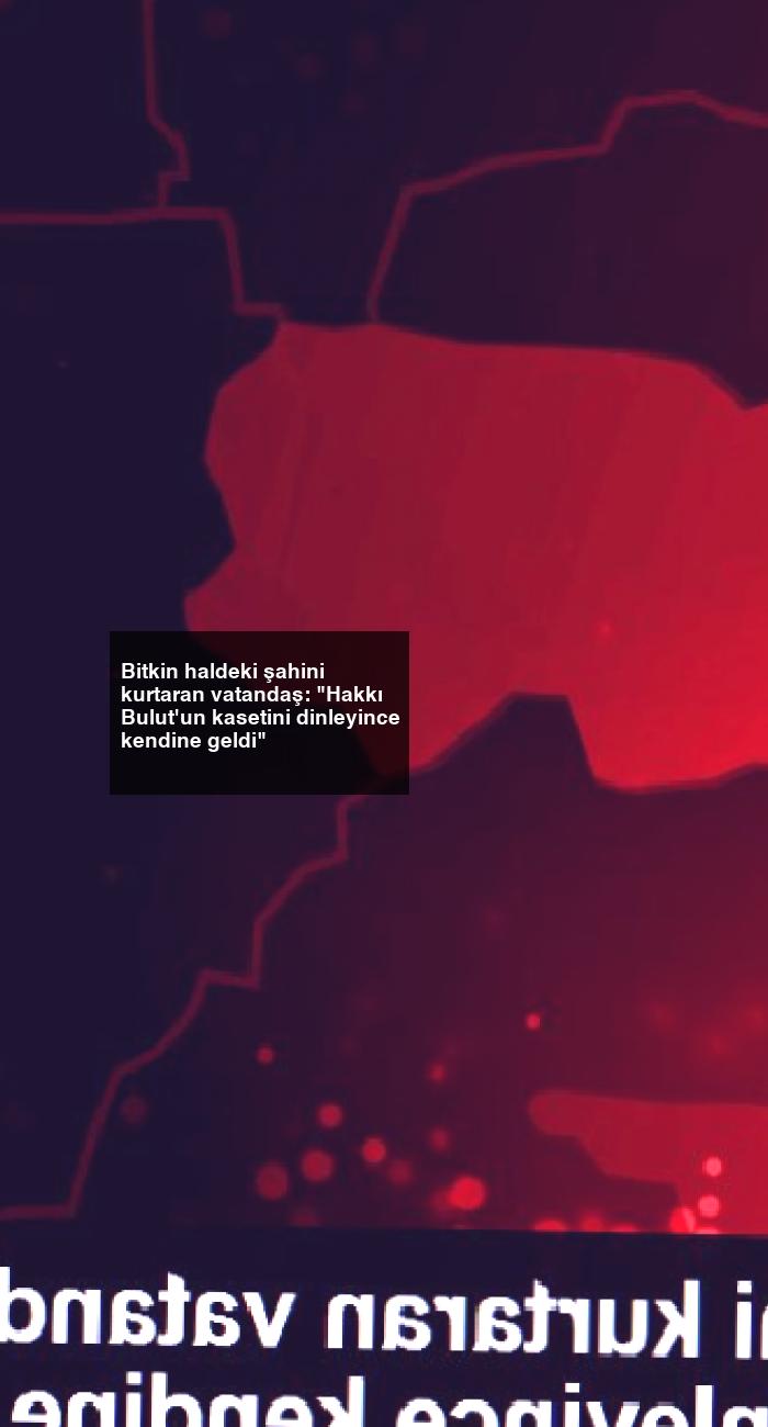 Bitkin haldeki şahini kurtaran vatandaş: “Hakkı Bulut’un kasetini dinleyince kendine geldi”