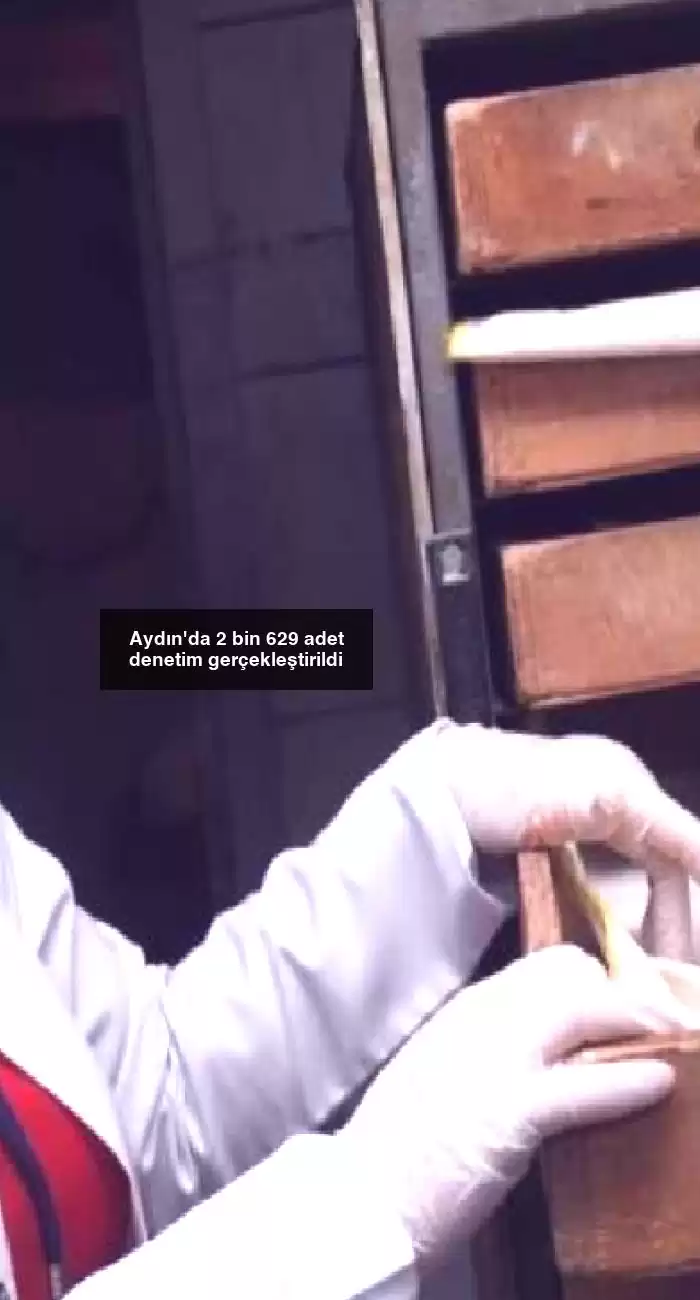 Aydın’da 2 bin 629 adet denetim gerçekleştirildi