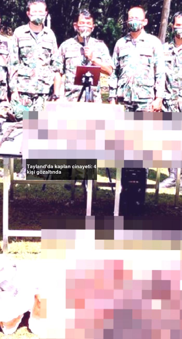 Tayland’da kaplan cinayeti: 4 kişi gözaltında