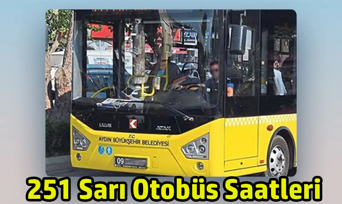 251 DMarin – Yalıköy Sarı Otobüs